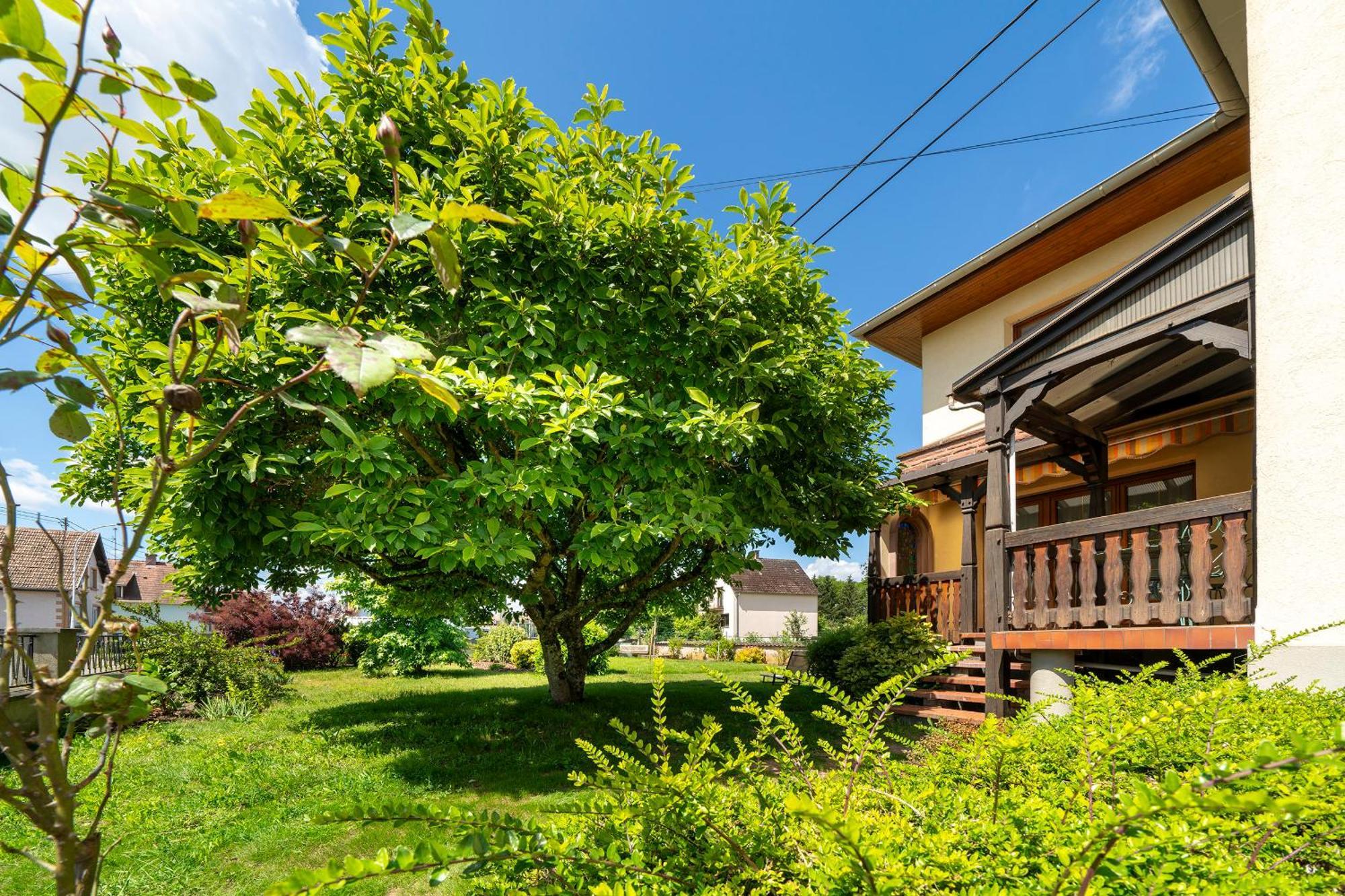 Bed and Breakfast La Clef Des Songes Merzmuhler Exterior foto