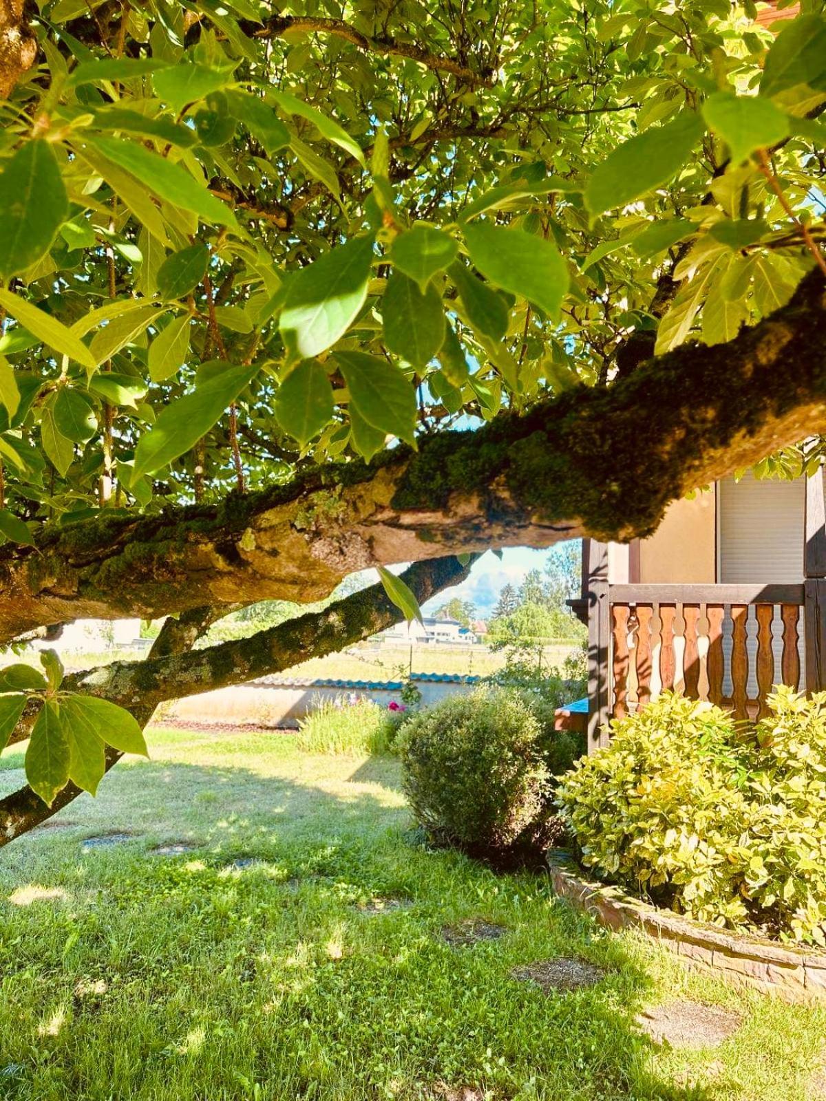 Bed and Breakfast La Clef Des Songes Merzmuhler Exterior foto